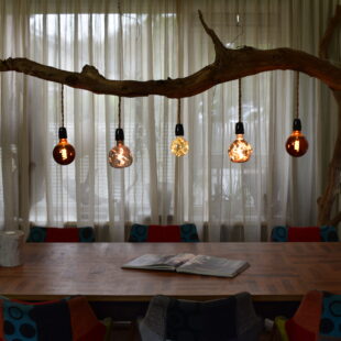 Onze lampen